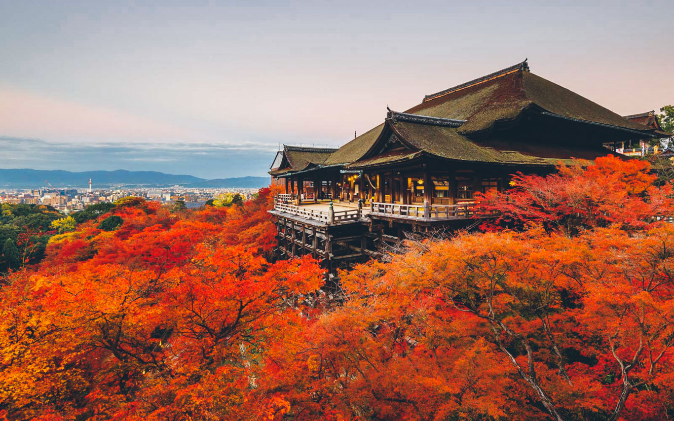 Momijigari i colori dell' Autunno