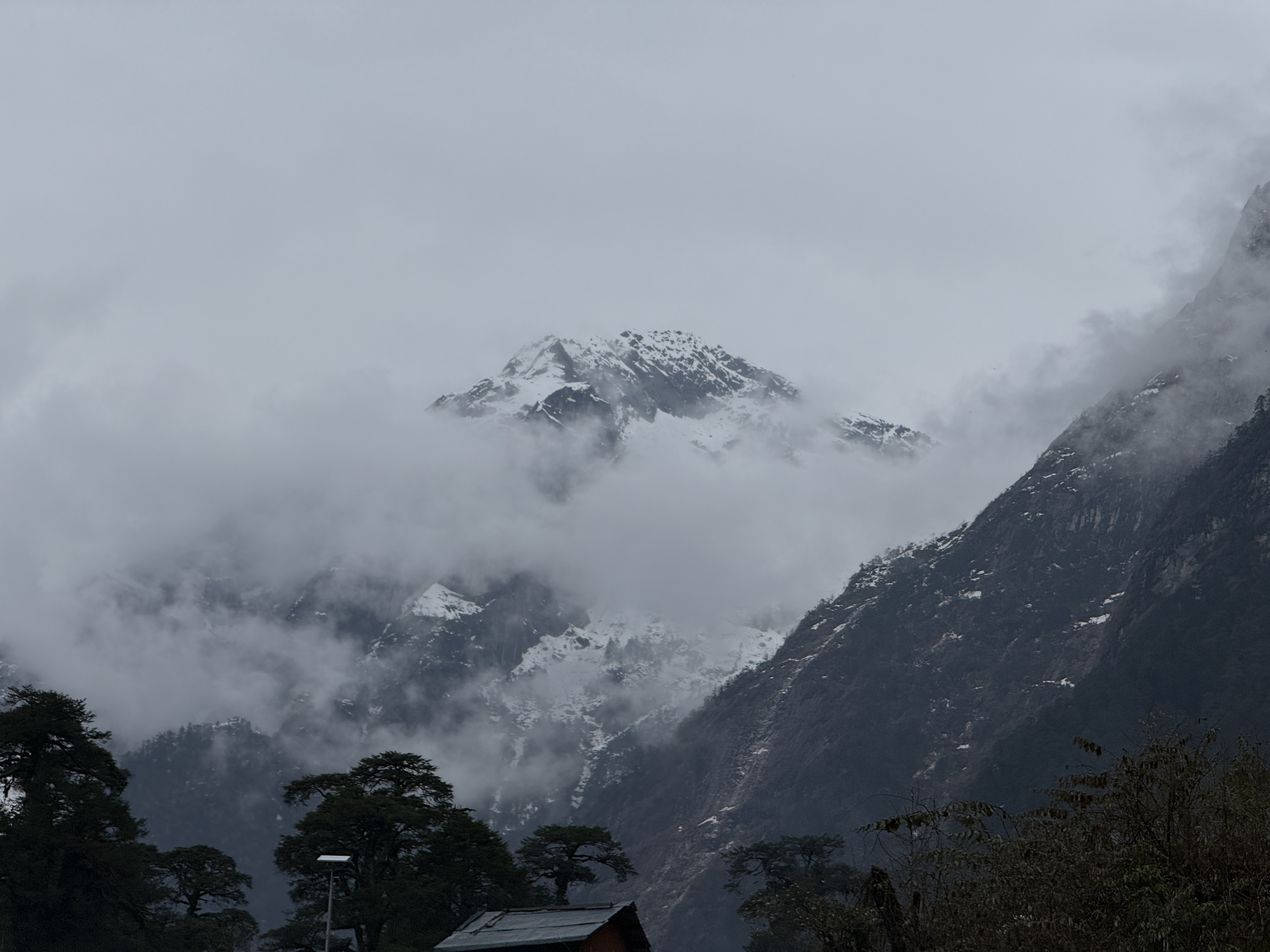 Himalayan Run