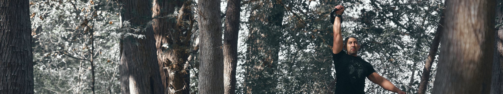 Section background image