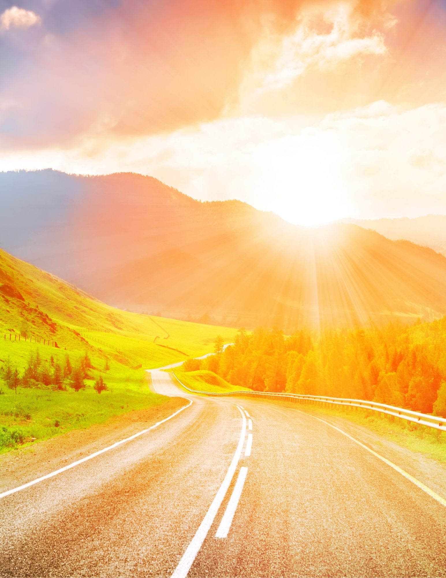 Section background image