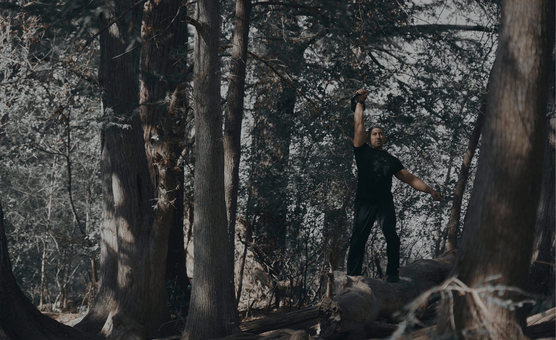 Section background image