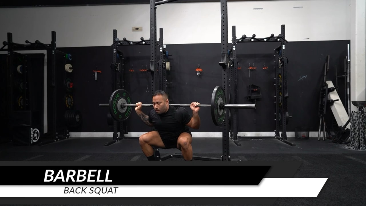 Barbell Squat