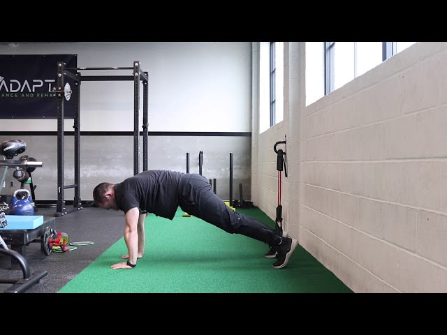 Downward Dog Reach