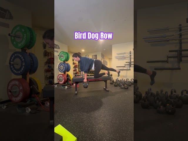 Bird Dog Row