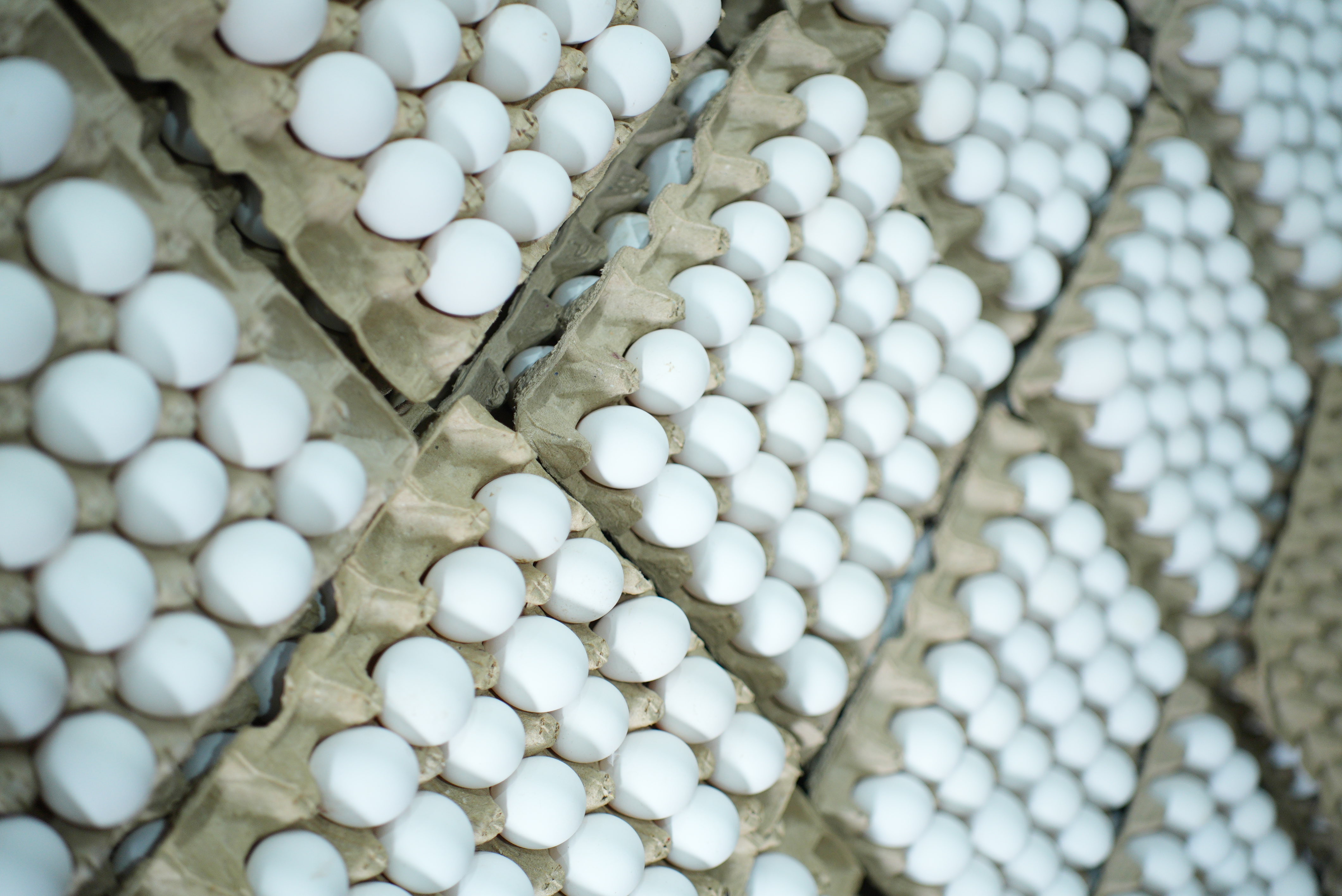 Fresh brown eggs gathered in rustic wire basket