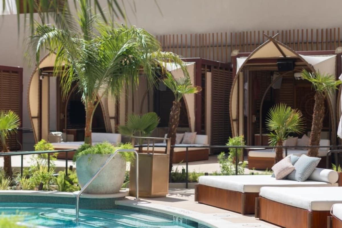 Ayu Dayclub
