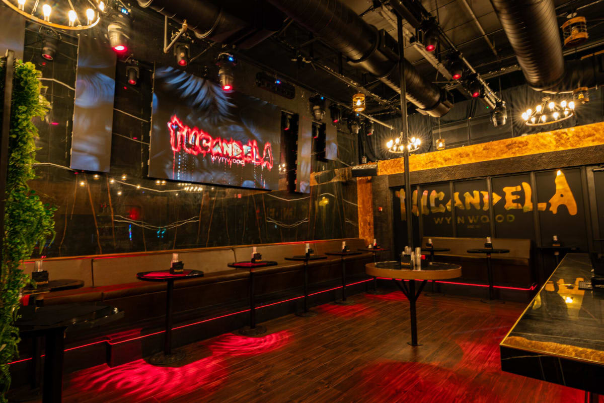 TuCandela Wynwood