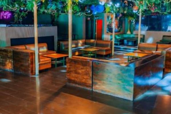 Jungle Hollywood