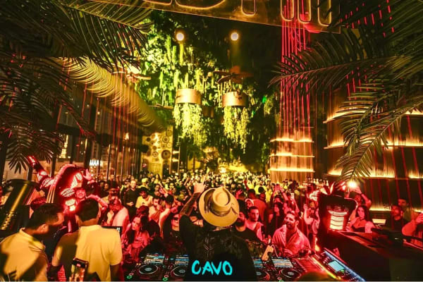 Cavo