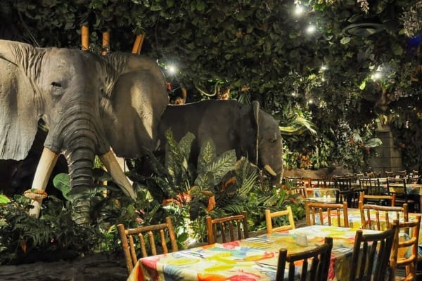 Jungle