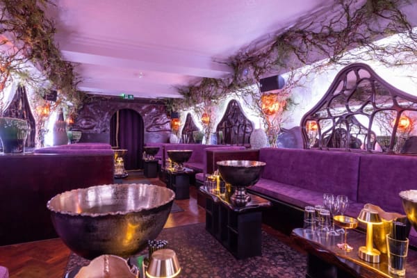 The Rex Rooms
