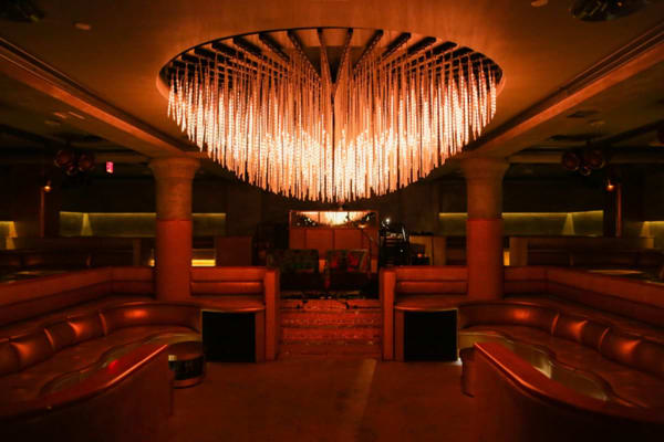 Gilded Lily