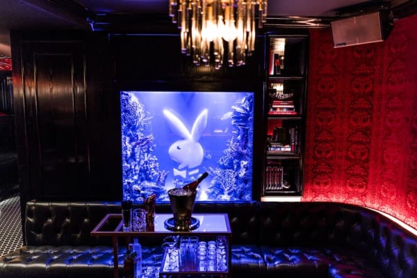 PlayBoy Club