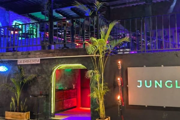 The Jungle