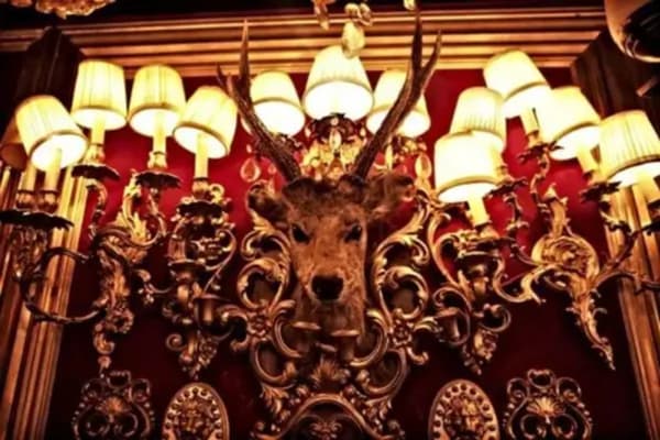Trump Room