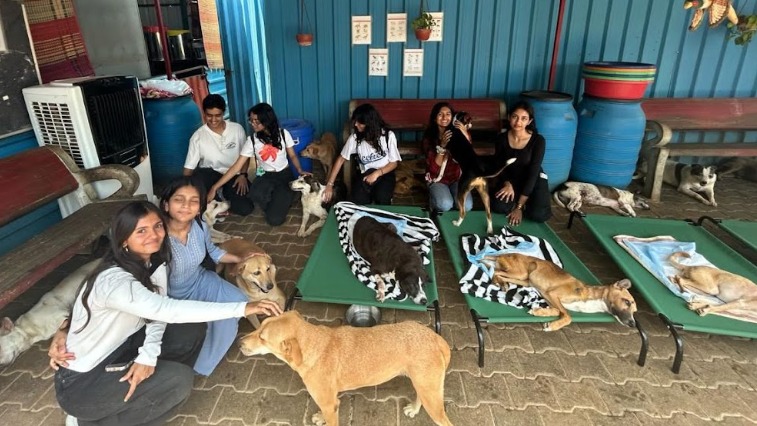 Food Donation Drive for Stray & Injured Dogs