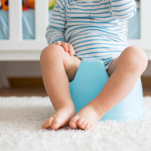 Apprentissage De La Proprete Quand Mettre Bebe Sur Le Pot