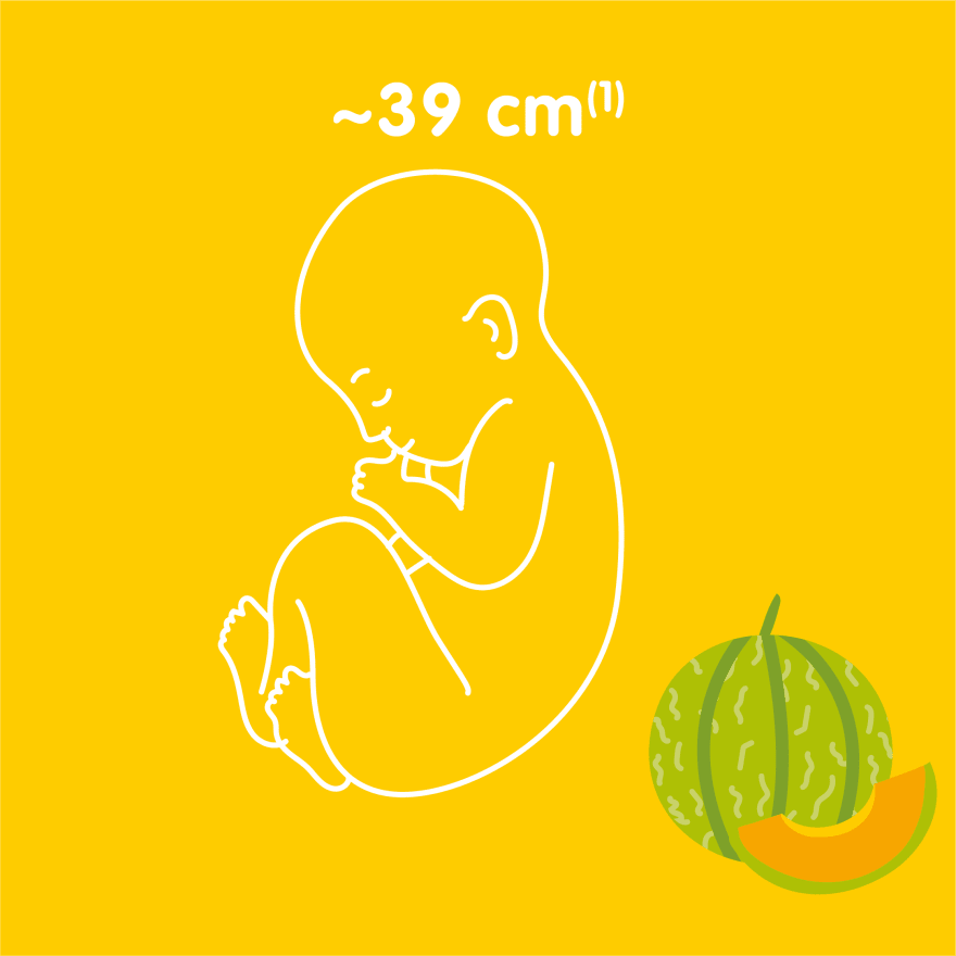 8th Month Of Pregnancy Your Baby Is Getting Ready