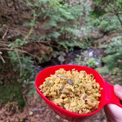 Campfire Spiced Rice