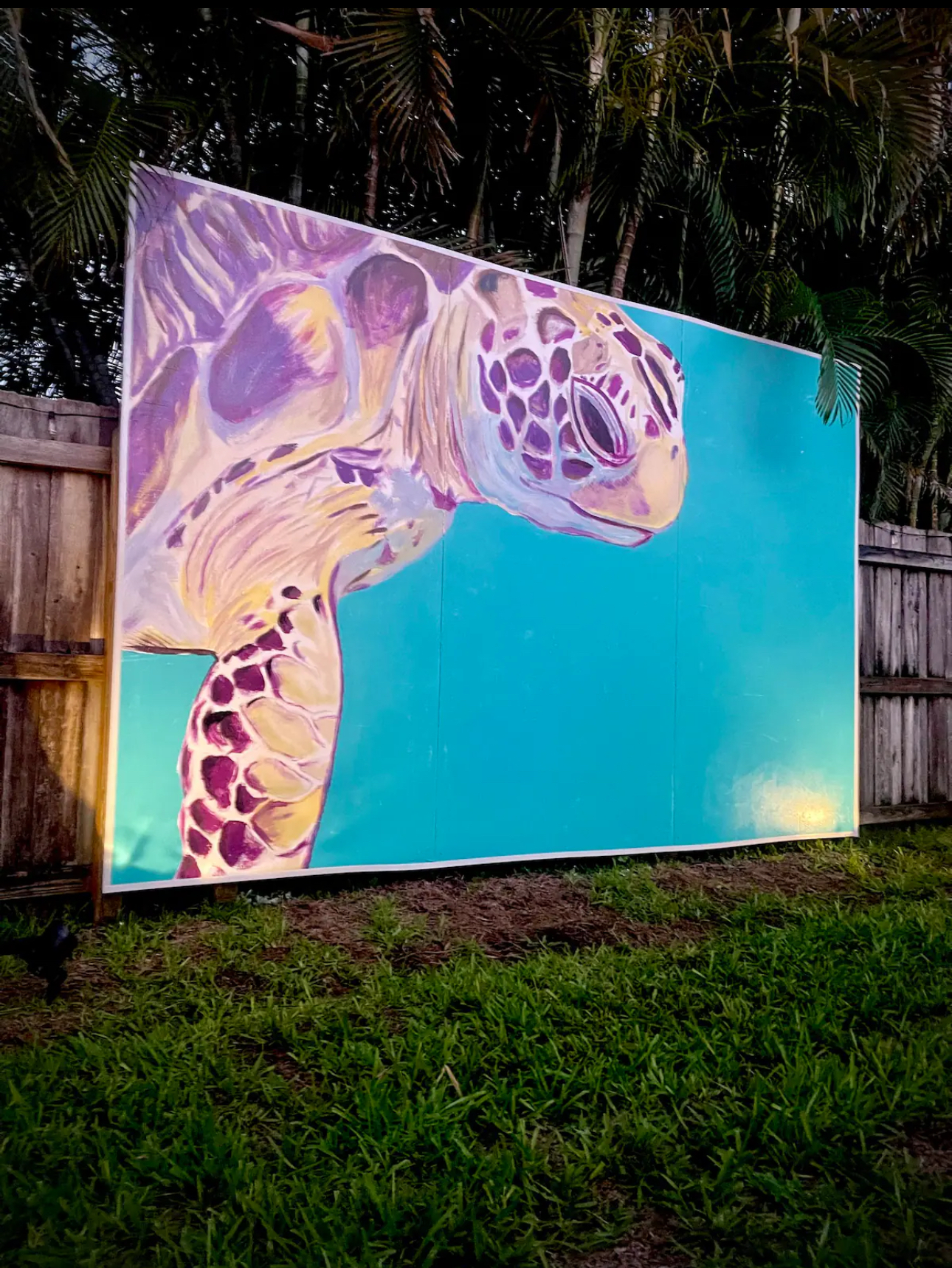 turtle-gallery/p6icyfdiwgyzmlrlf4fs