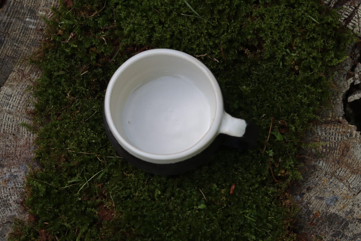 Yin & Yang mug
