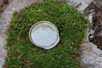 Light green Spoon rest - Image 1
