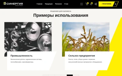 Полезная информация о компании Синергия