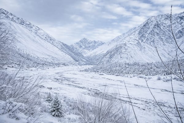 Landscapes related 23