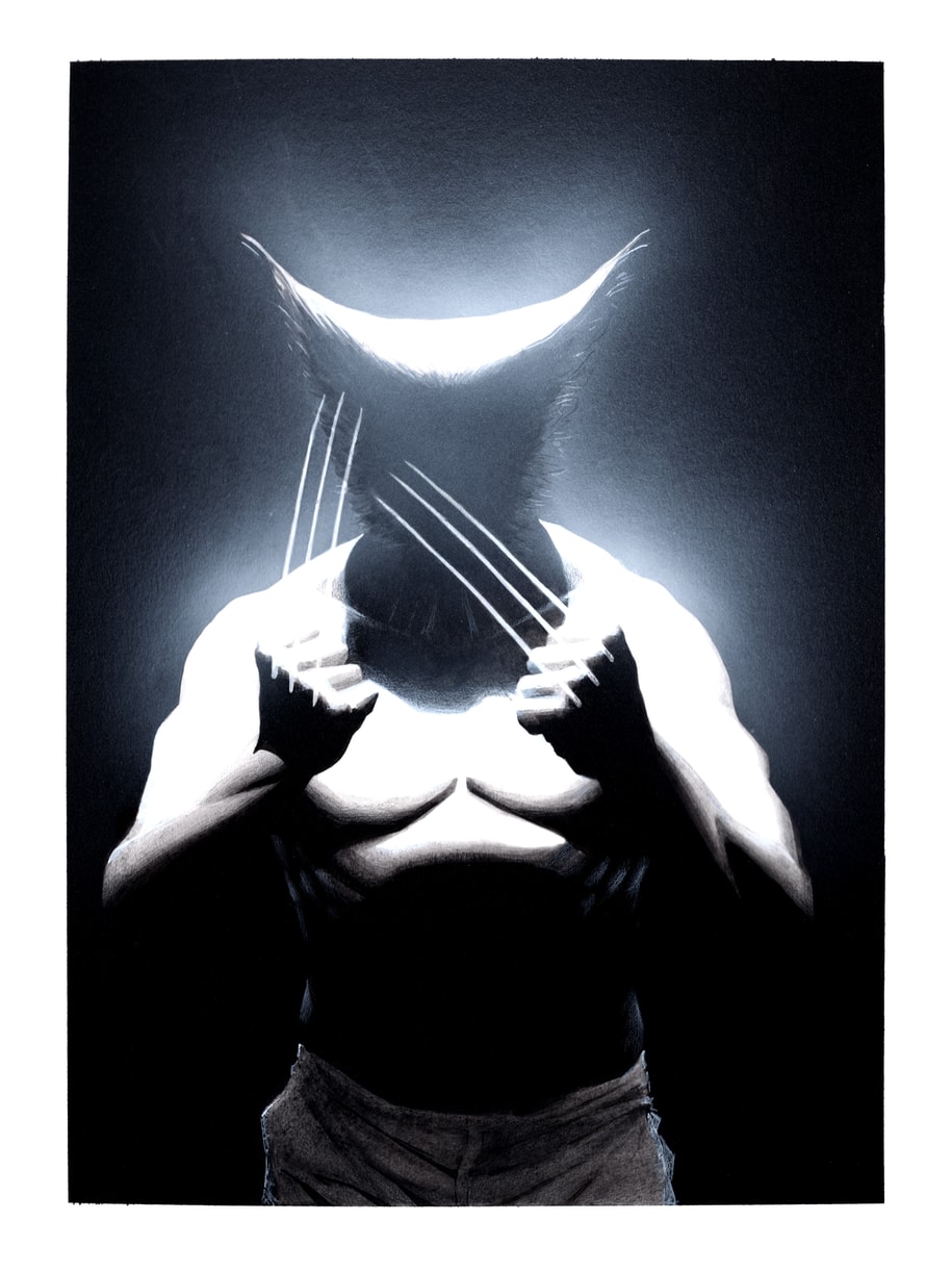 Wolverine Shadows