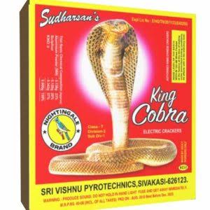 Snake Egg Big