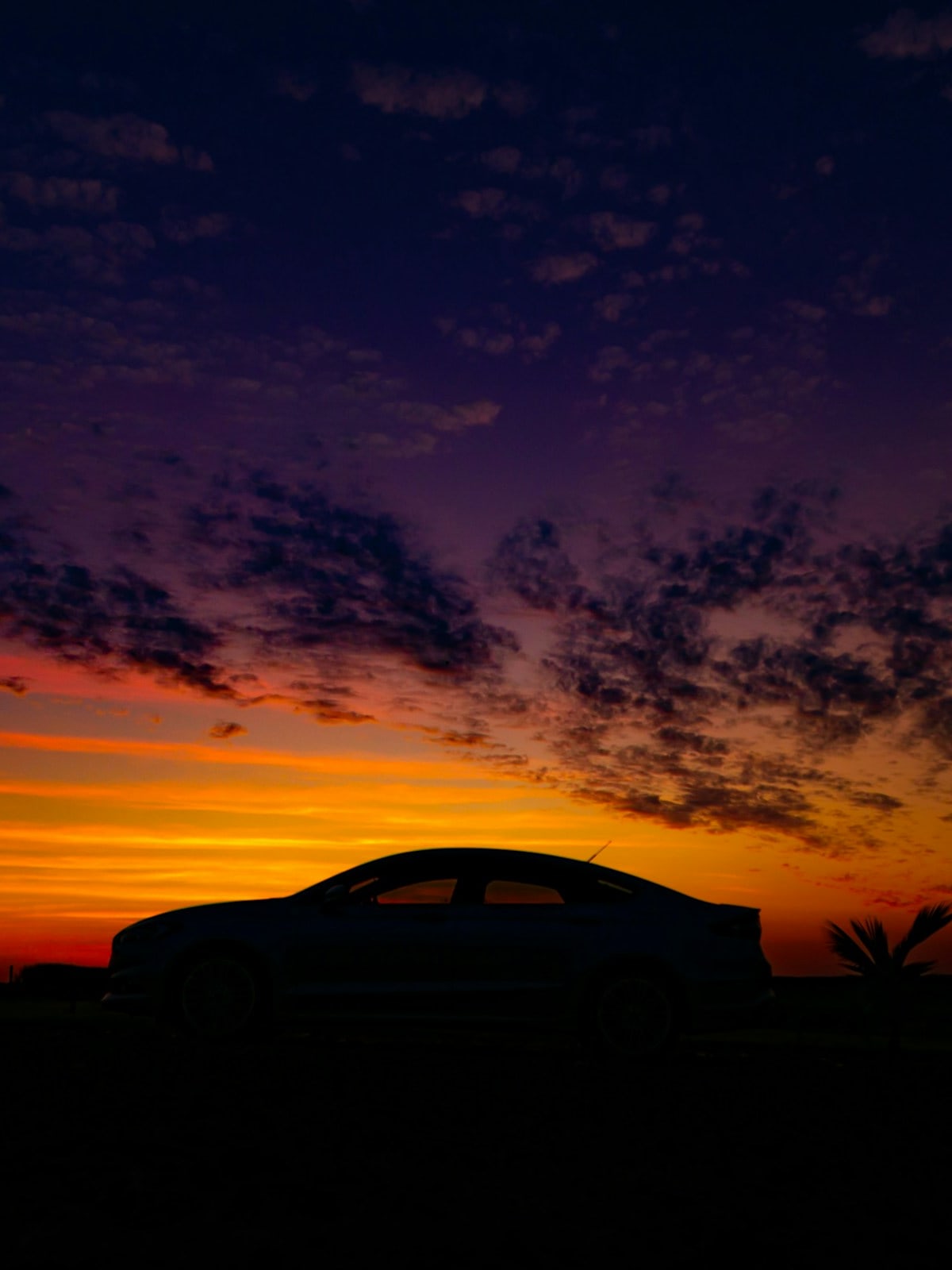 https://res.cloudinary.com/dt2qhwxmg/image/upload/f_auto,q_auto,w_auto,dpr_auto/c_crop,ar_3:4/v1752464628/agnaldo-andrella-GGIK2Qjy0xw-unsplash_1_c1gg4g.jpg