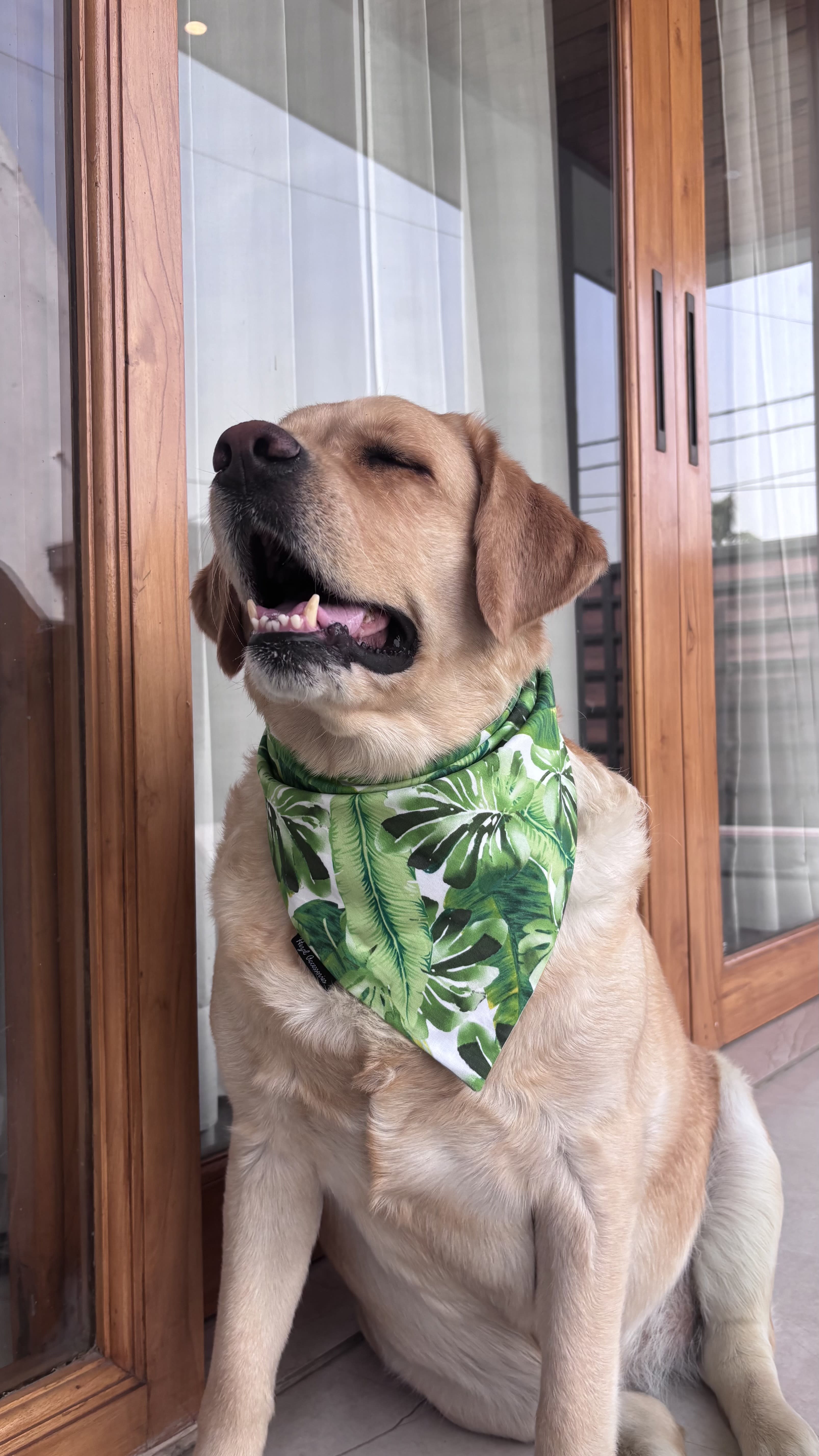 Tropical leaves tie on bandana/ neck scarf image 2