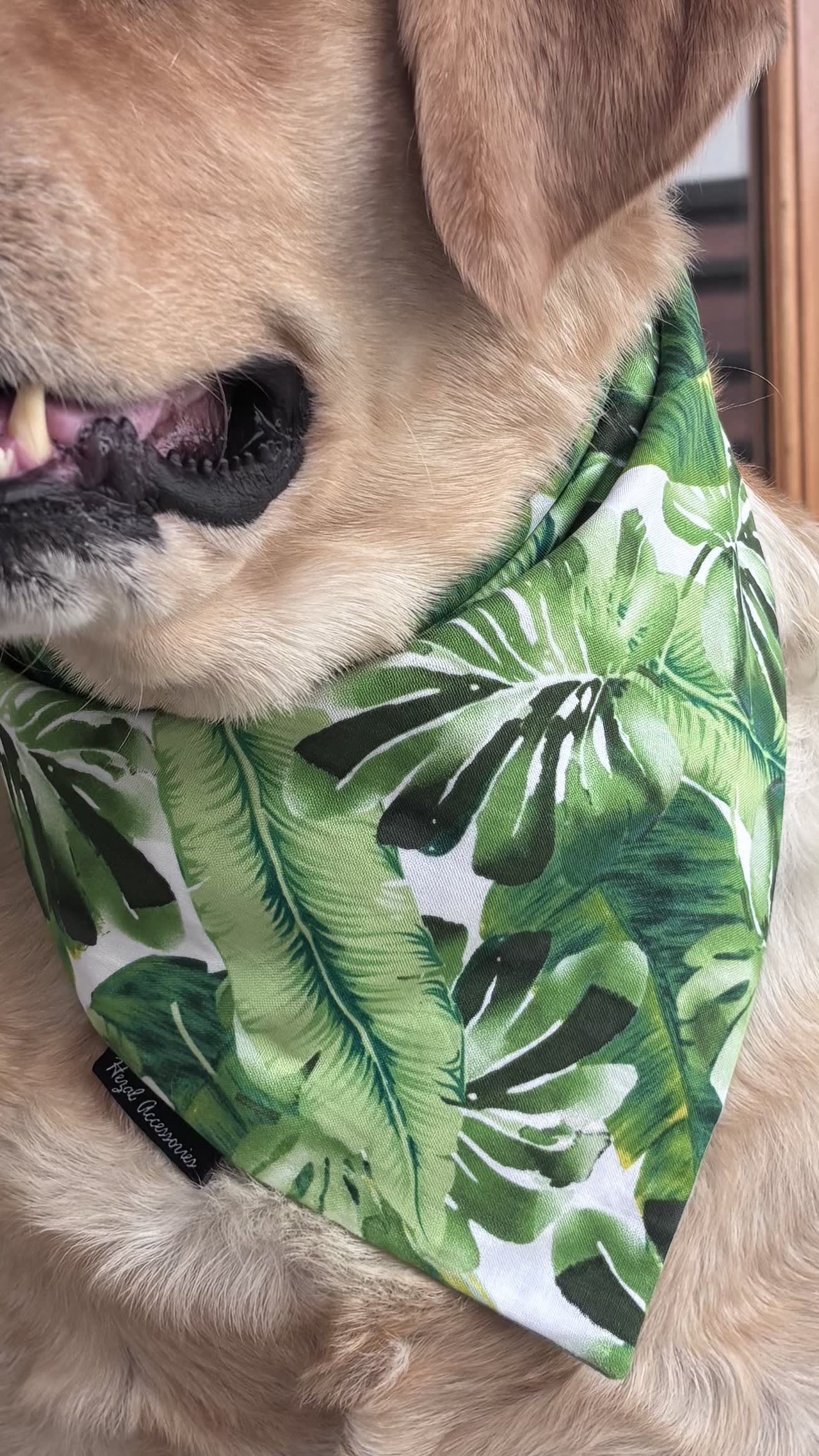 Tropical leaves tie on bandana/ neck scarf image 3