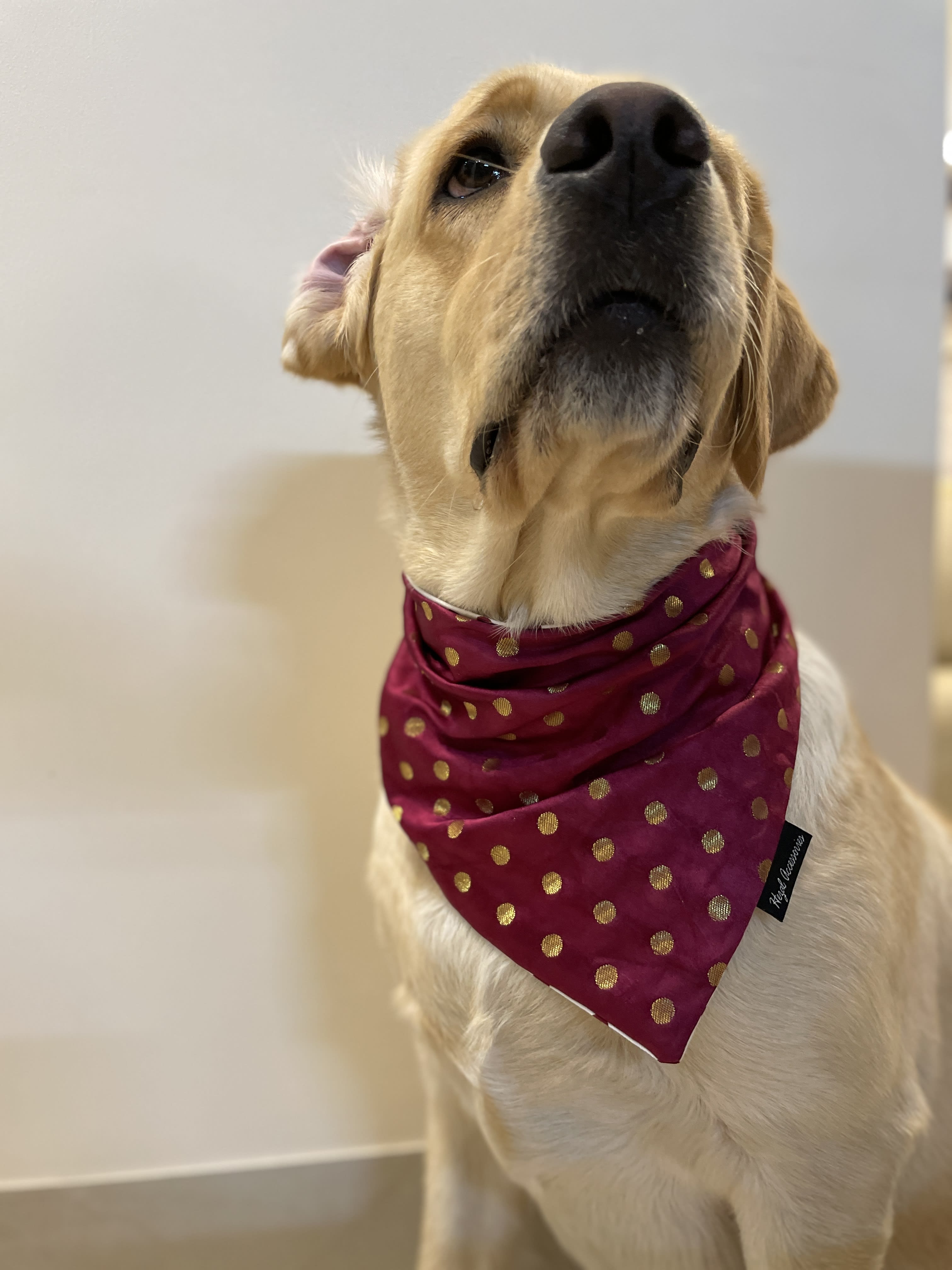Burgundy silk butti tie on bandana  image 2