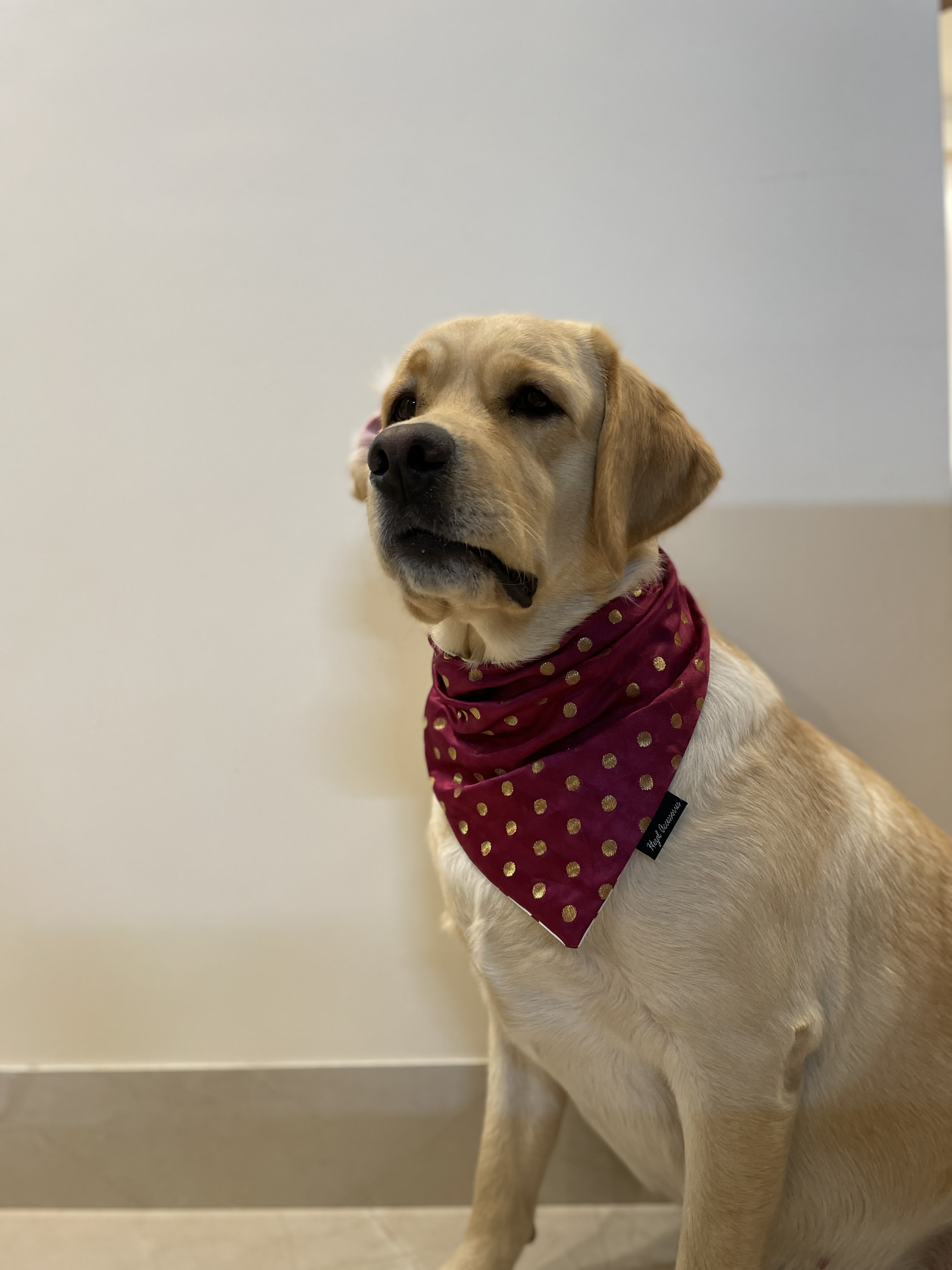 Burgundy silk butti tie on bandana  image 3