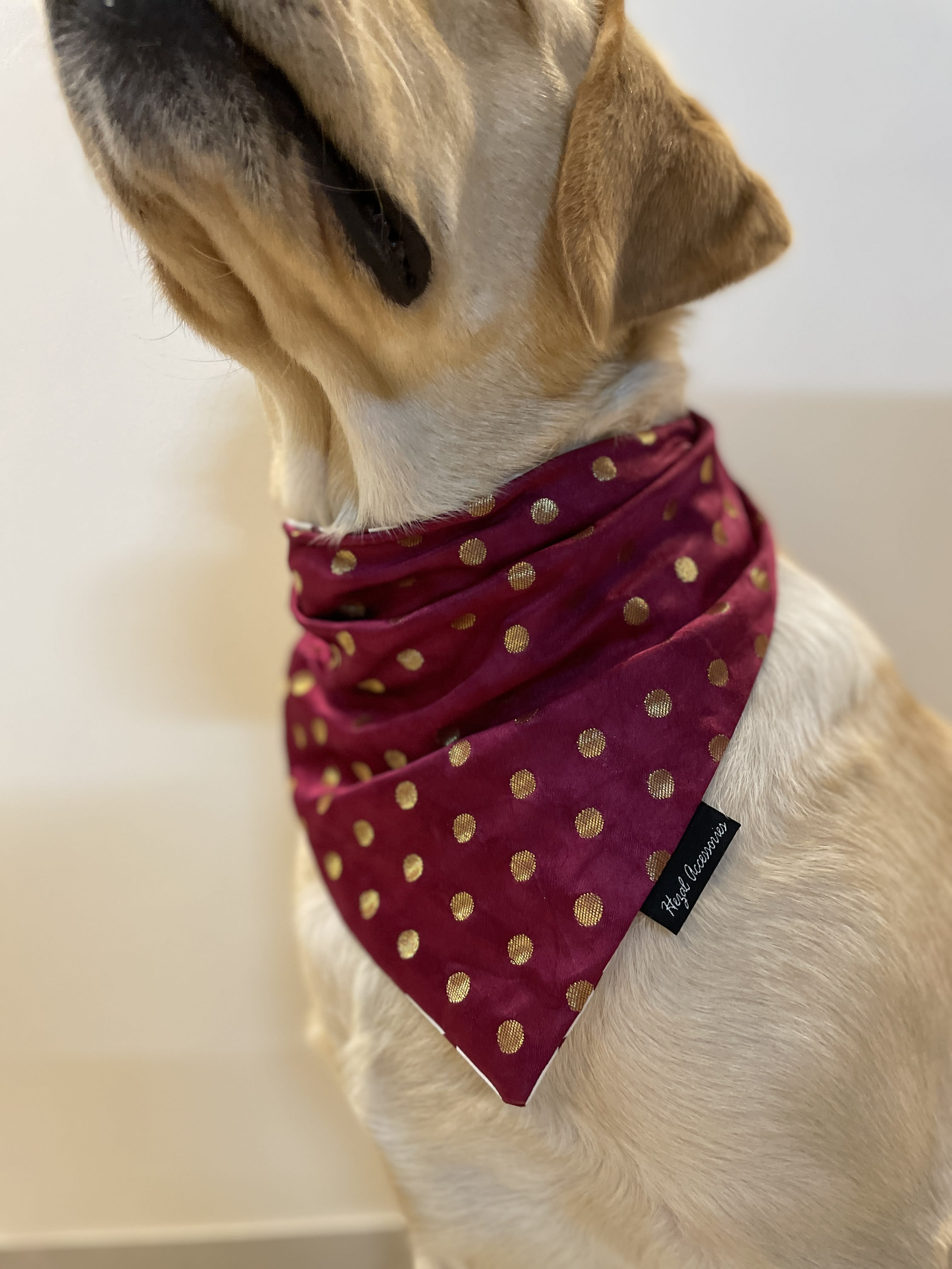 Burgundy silk butti tie on bandana  image 4