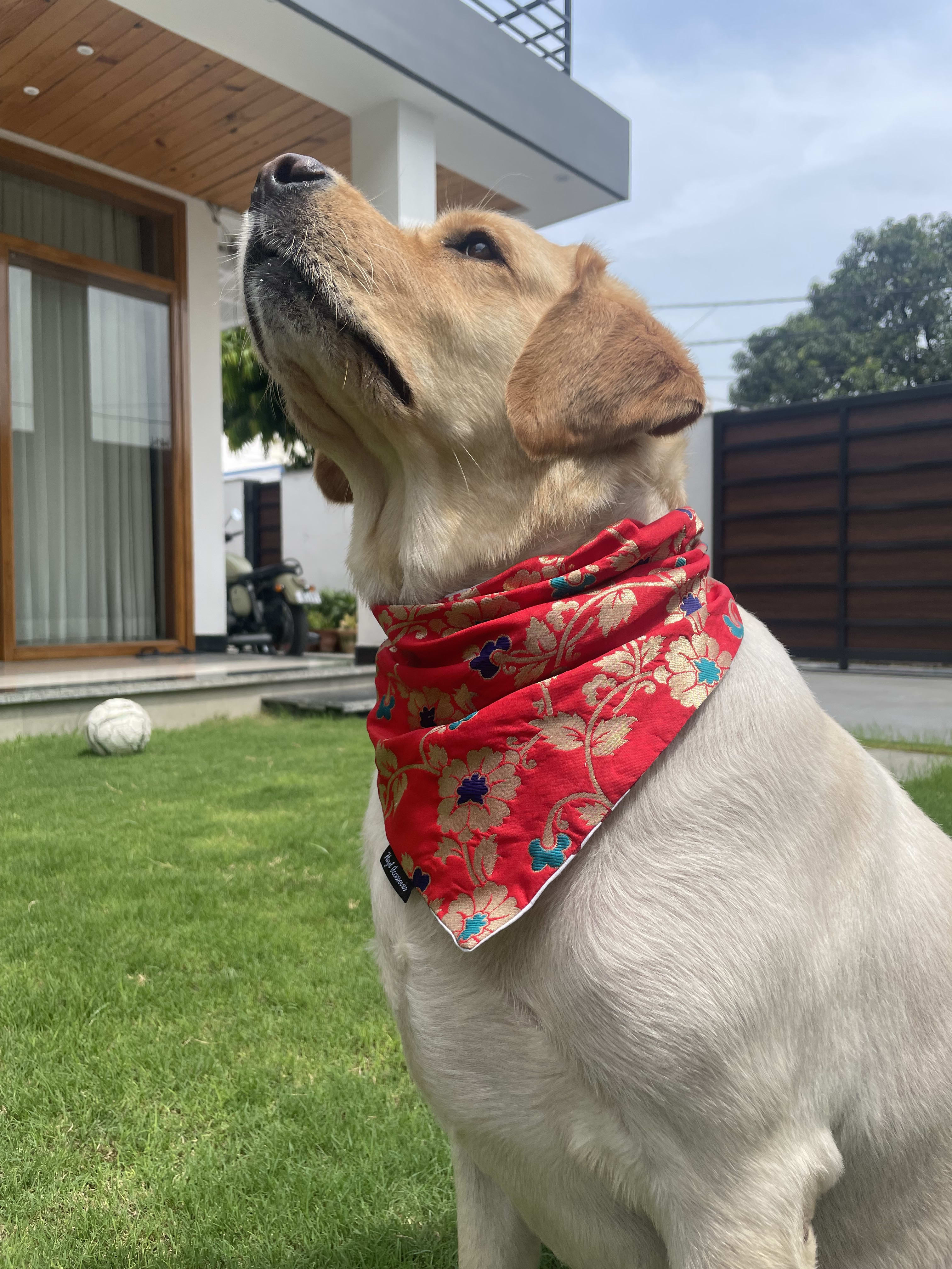 Red brocade silk tie on bandana  image 3