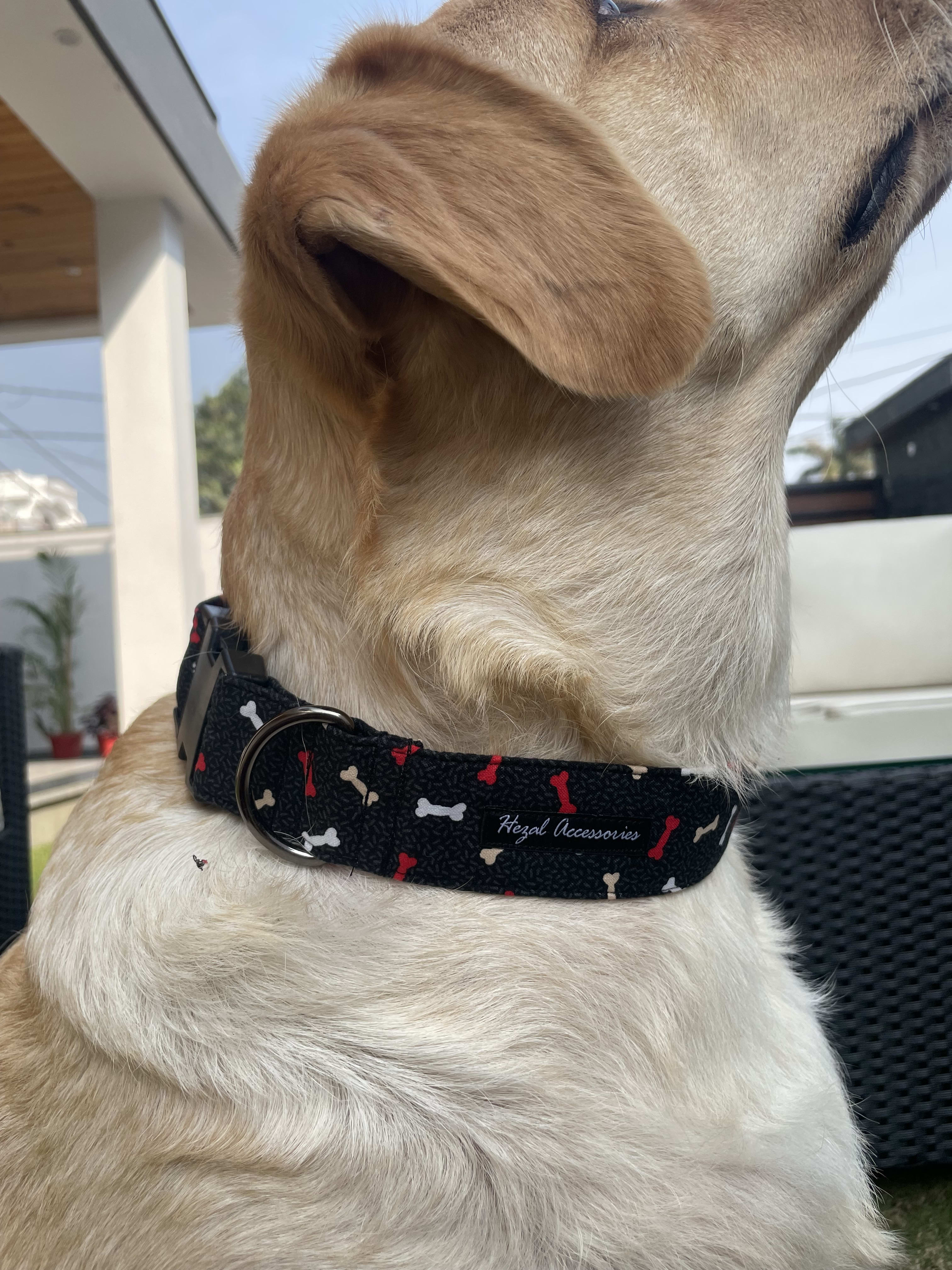 Red and white Bone print collar  image 3