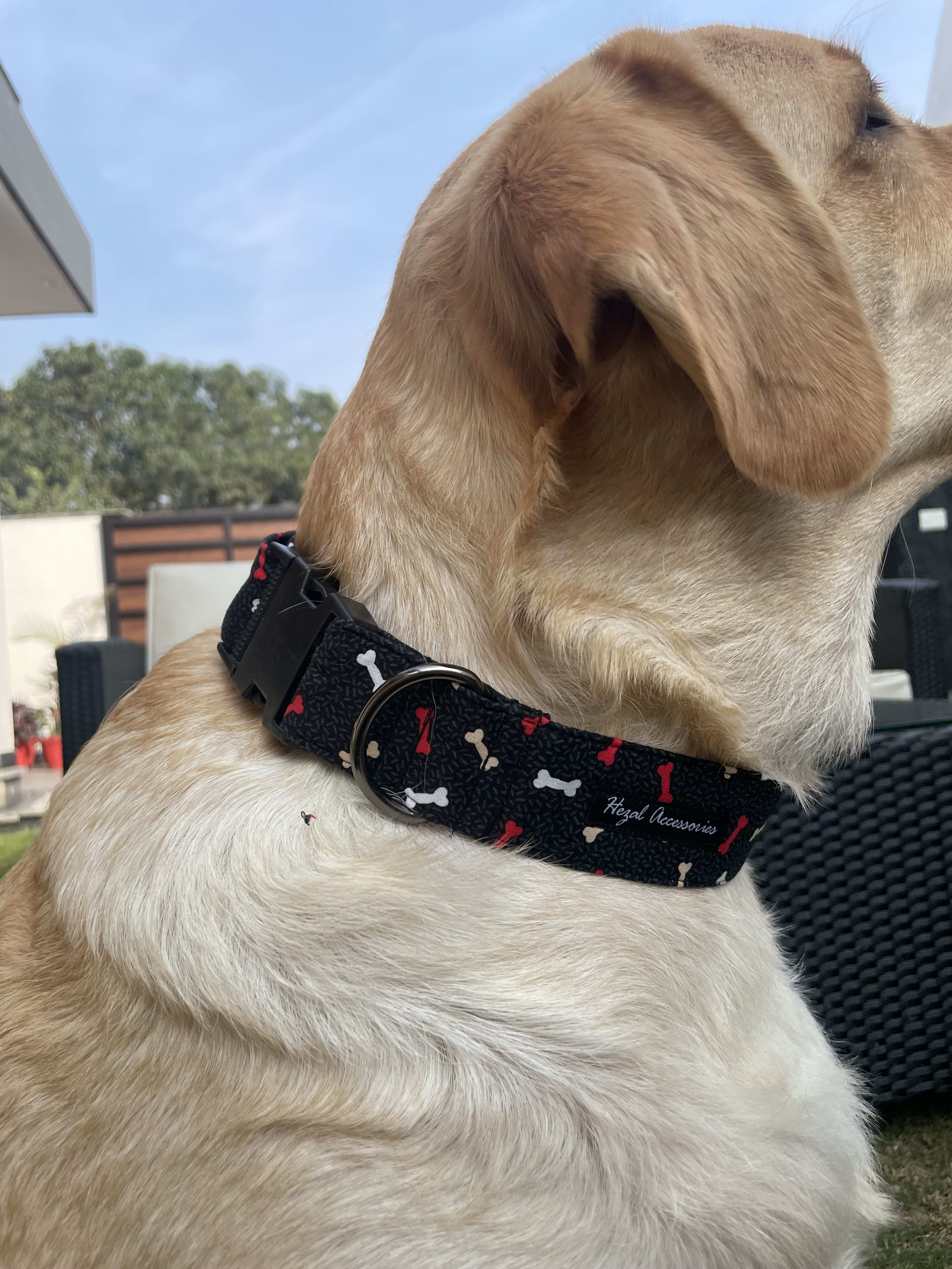 Red and white Bone print collar 