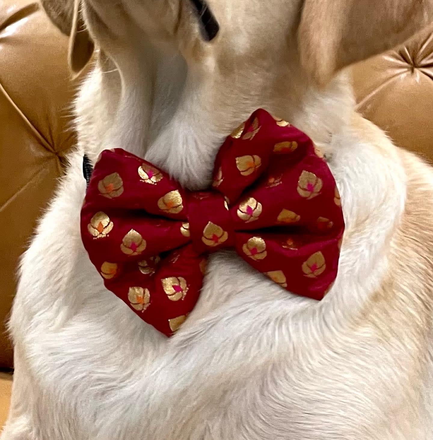 Red chanderi silk golden motif bow tie   image 2