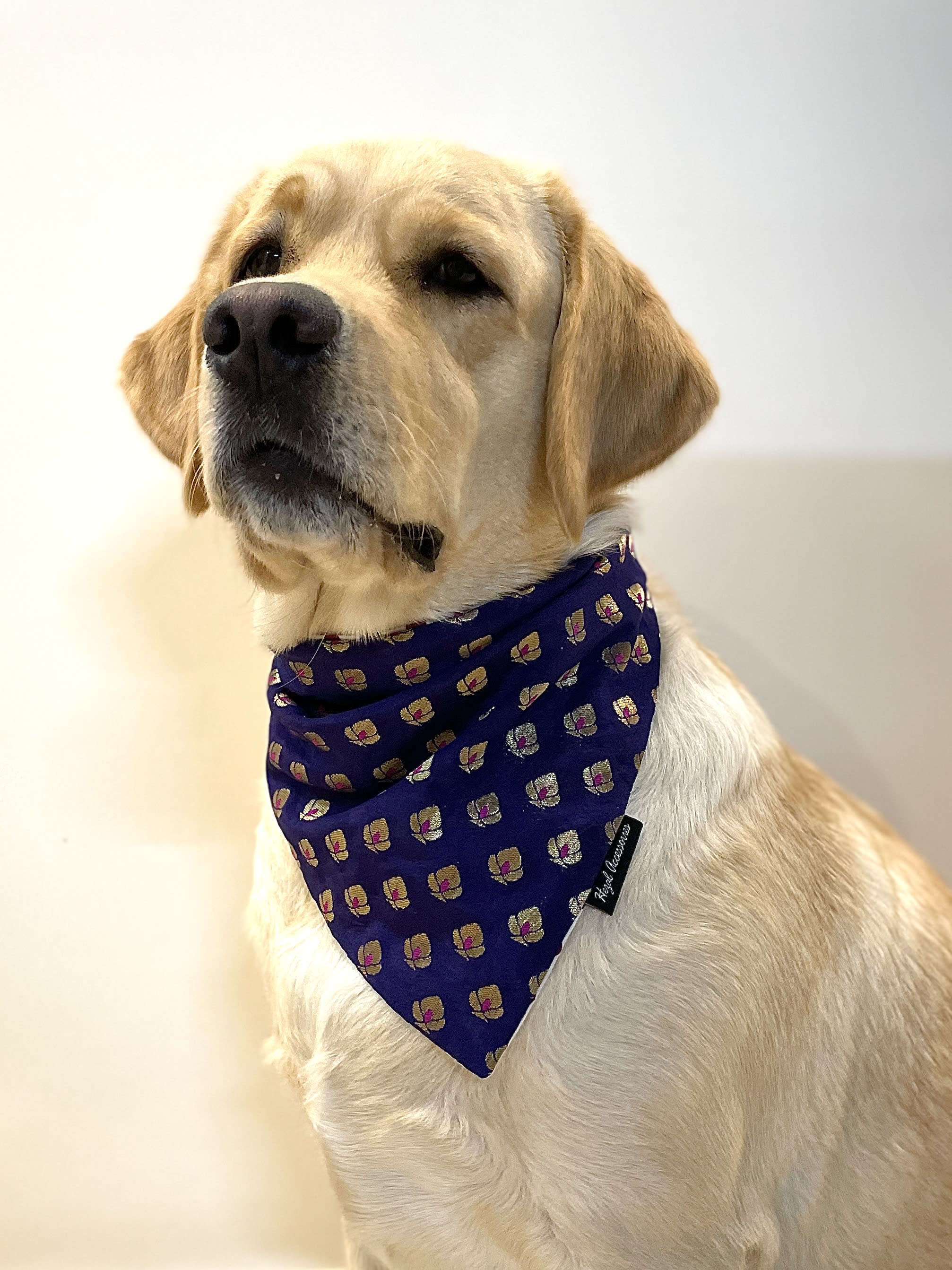 Dark mauve golden butti tie on bandana 