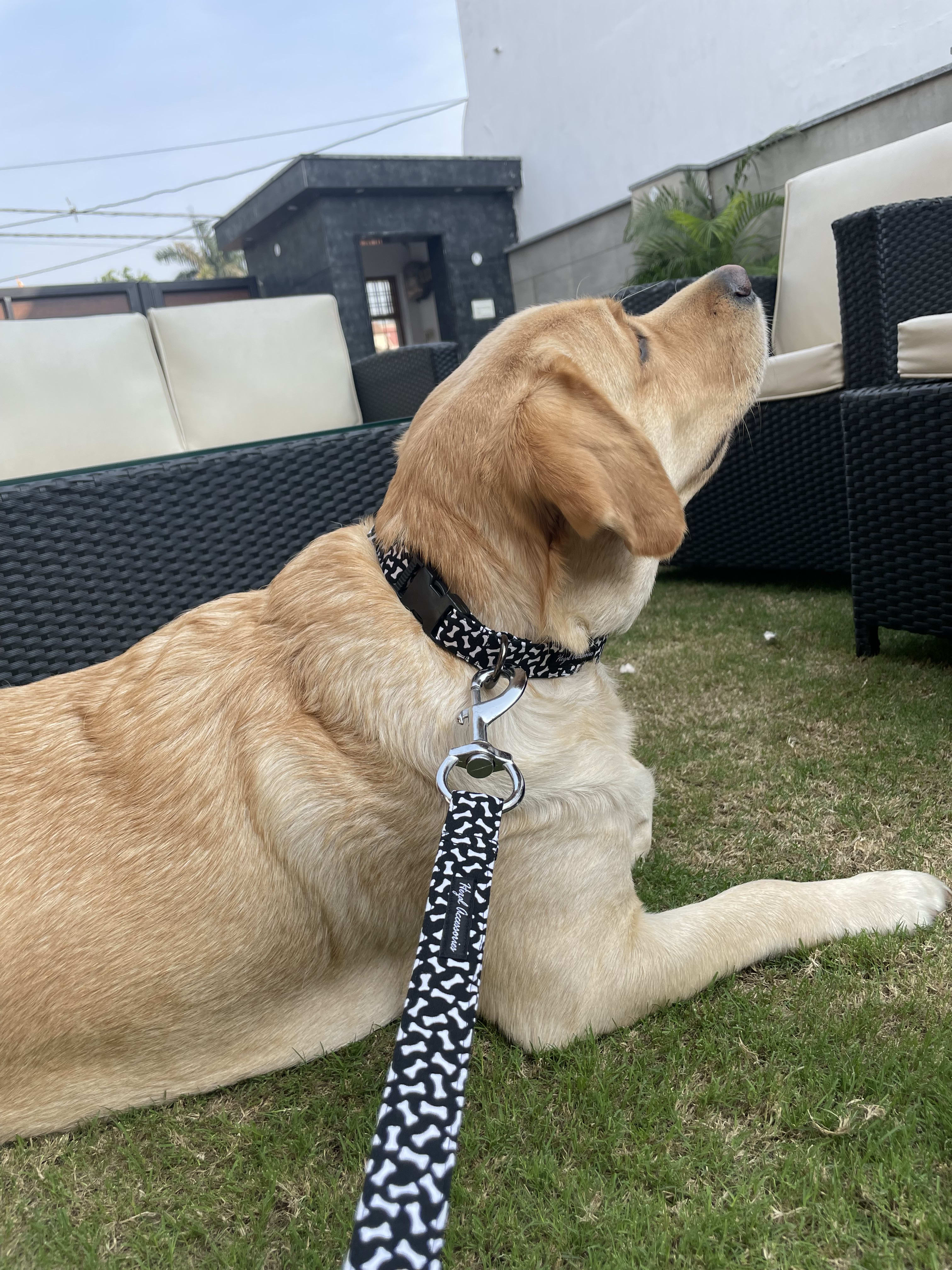 Bone print black and white collar n leash set  image 3