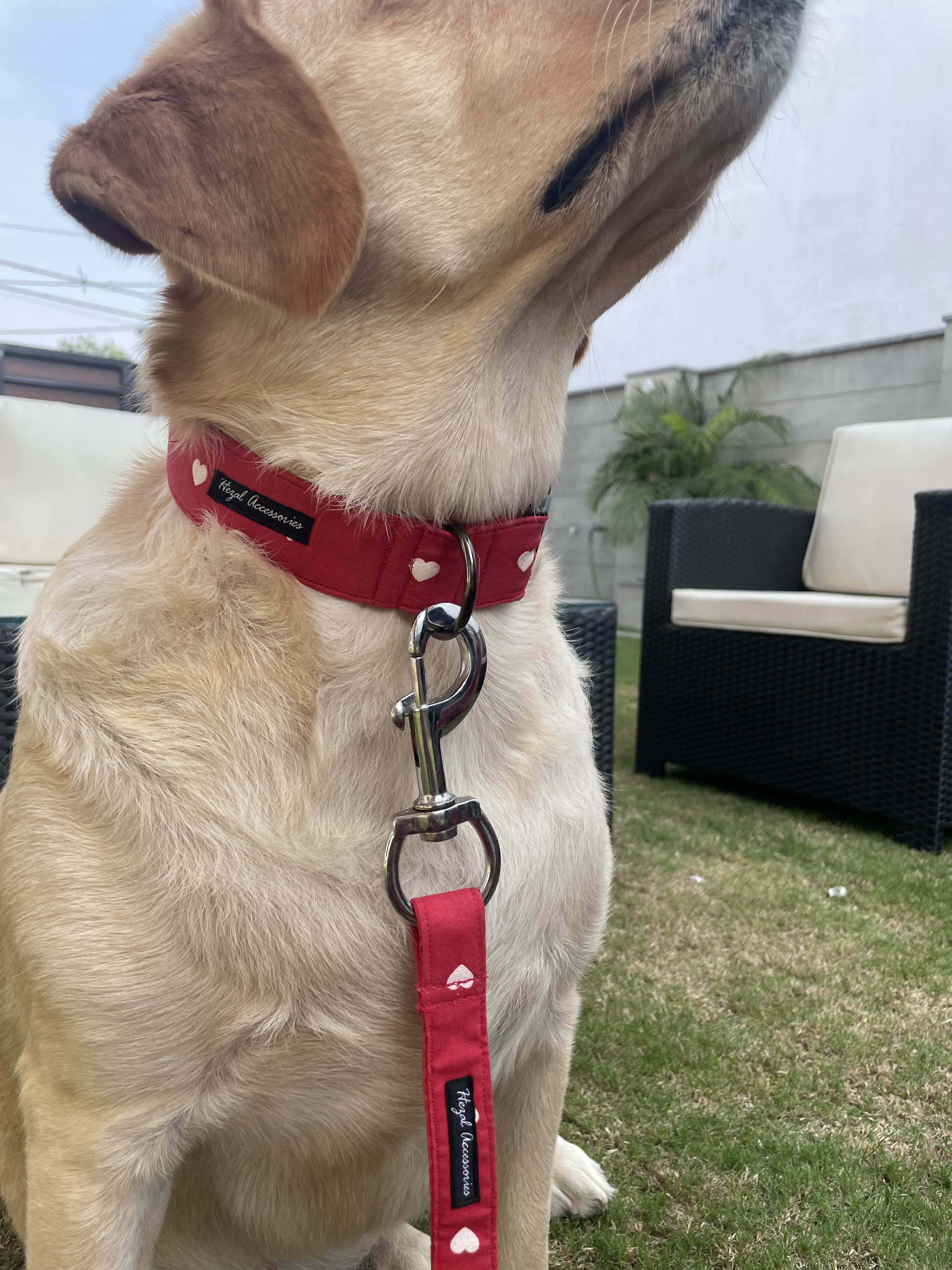Cupid Cutie collar leash set  image 2