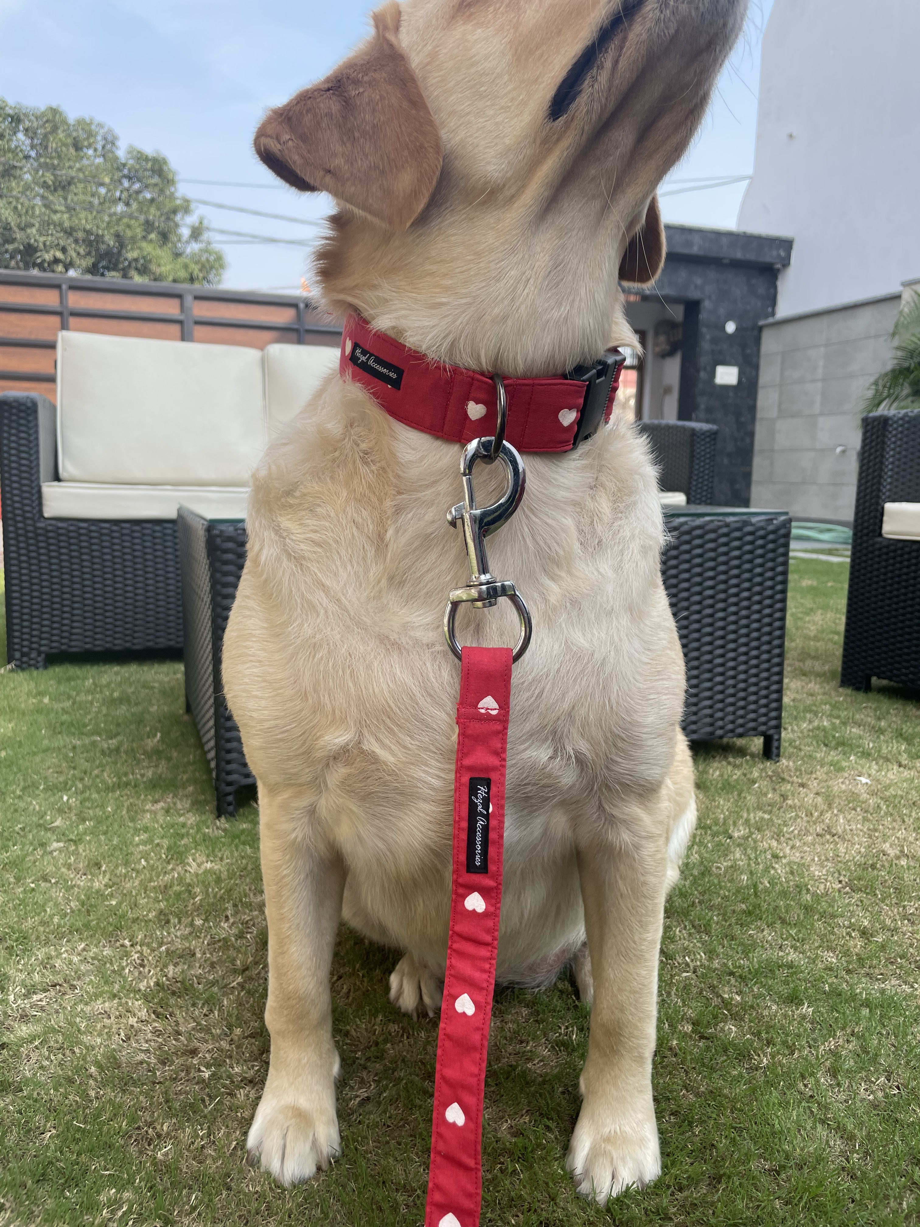 Cupid Cutie collar leash set  image 3