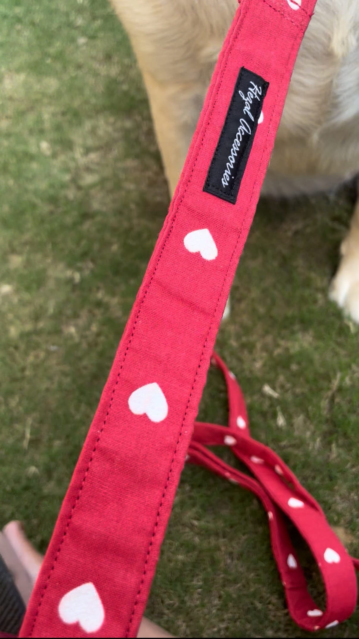 Cupid Cutie collar leash set  image 4
