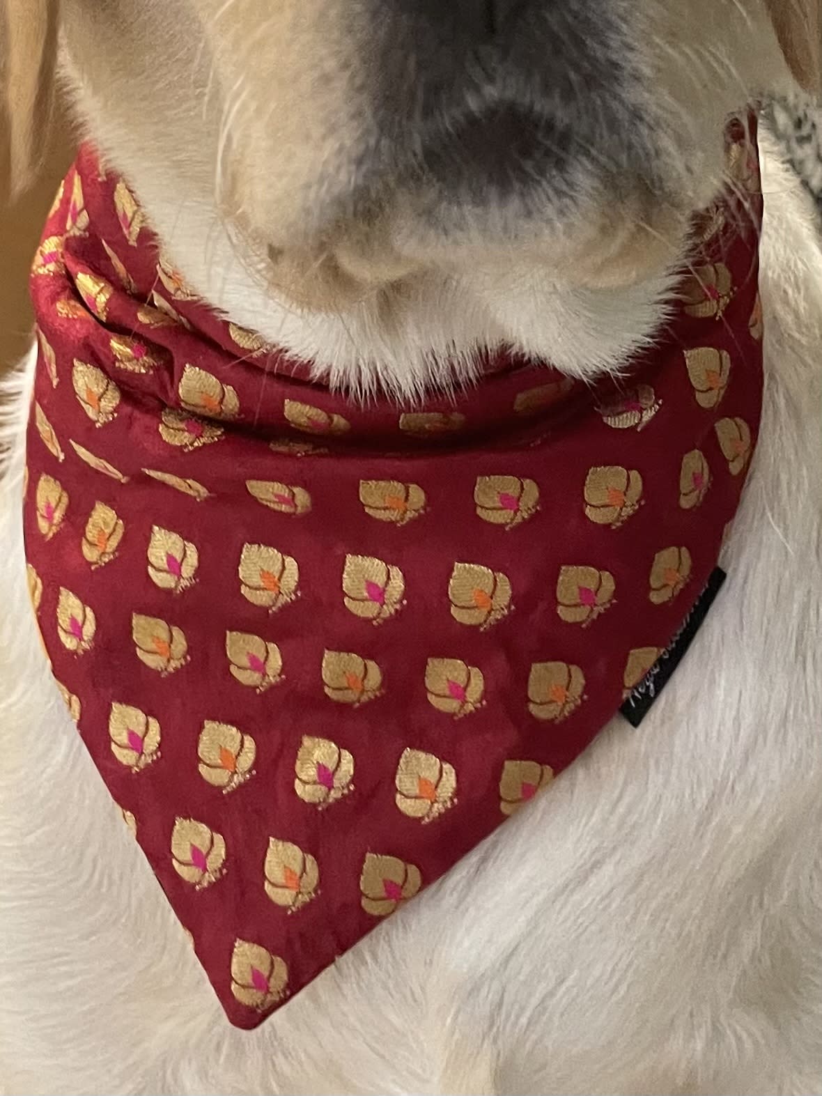 Golden motif red chanderi silk tie on bandana  image 3
