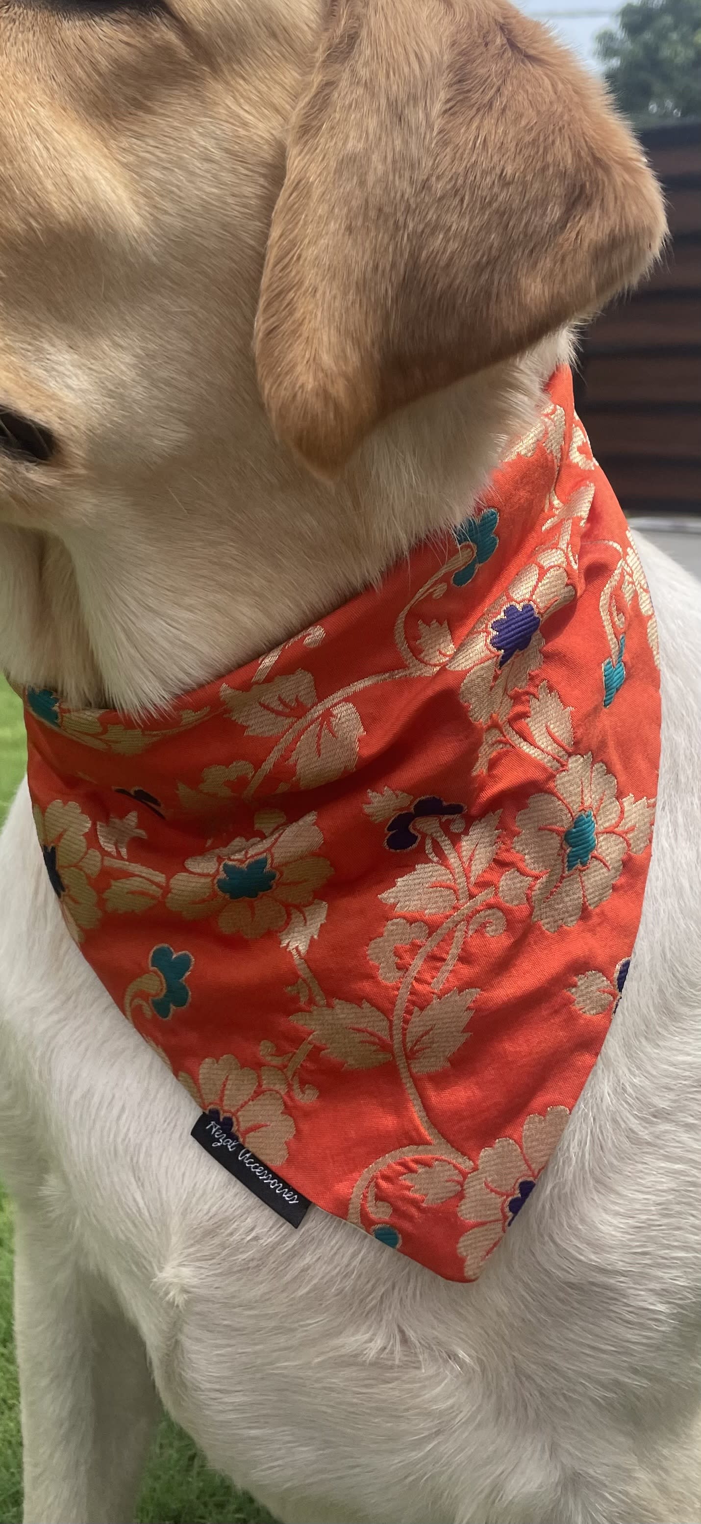 Marigold brocade silk tie on bandana  image 4