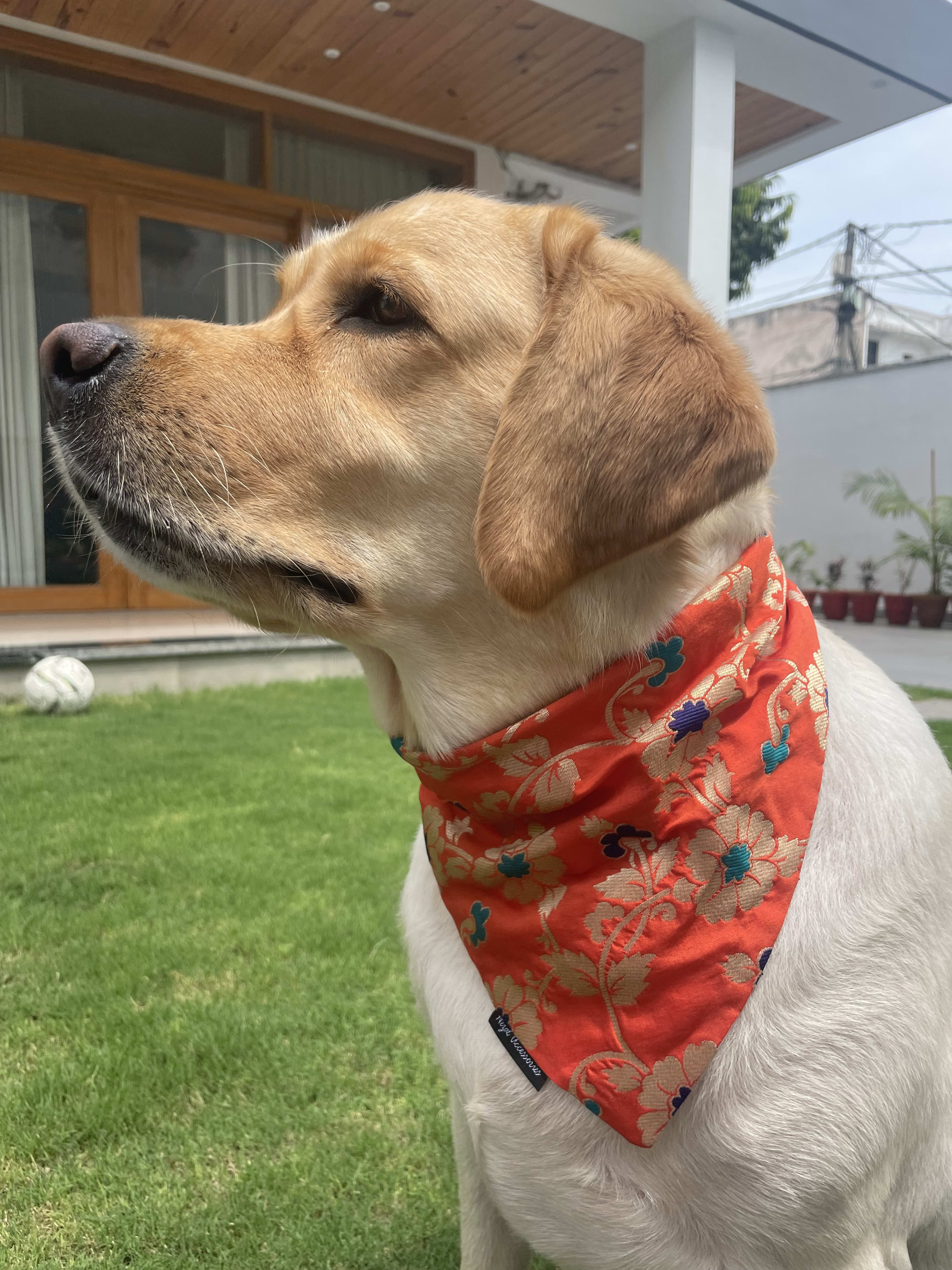 Marigold brocade silk tie on bandana  image 3