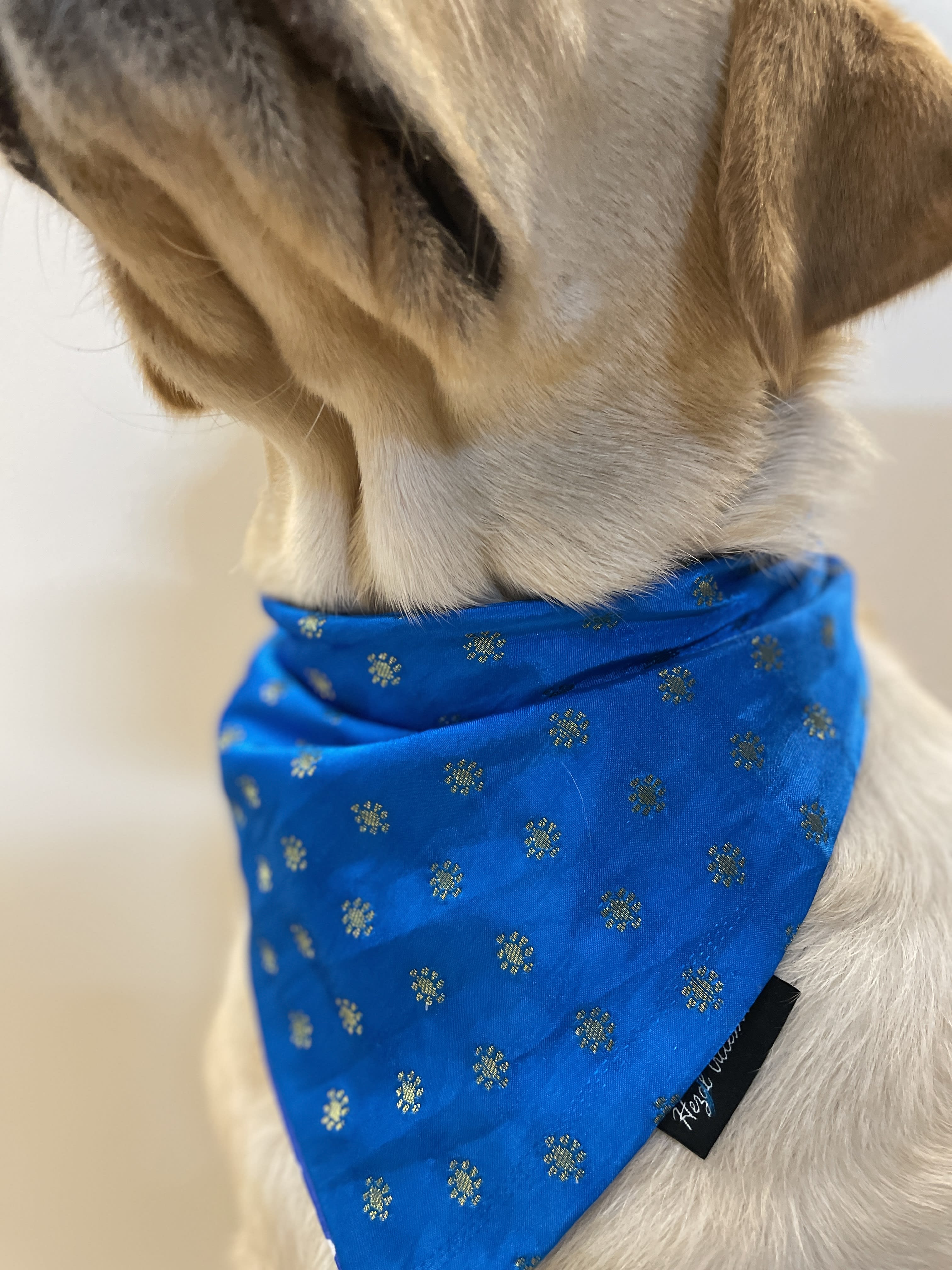Royal Blue silk bandana with golden motifs  image 4