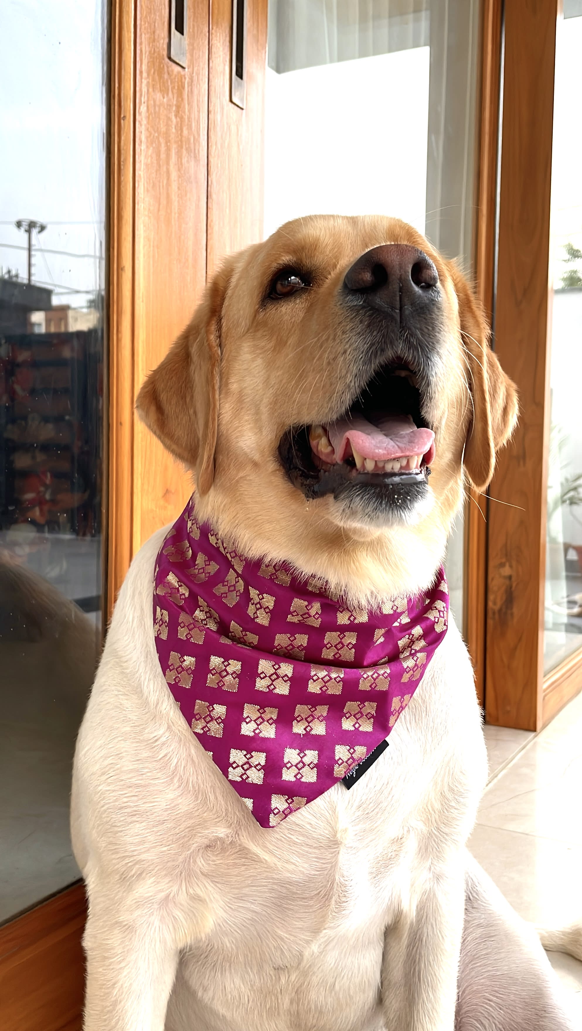 Magenta Banarasi tie on Bandana